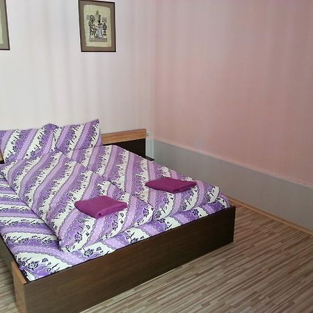 بيلوغرادتشيك Guest House Zora المظهر الخارجي الصورة